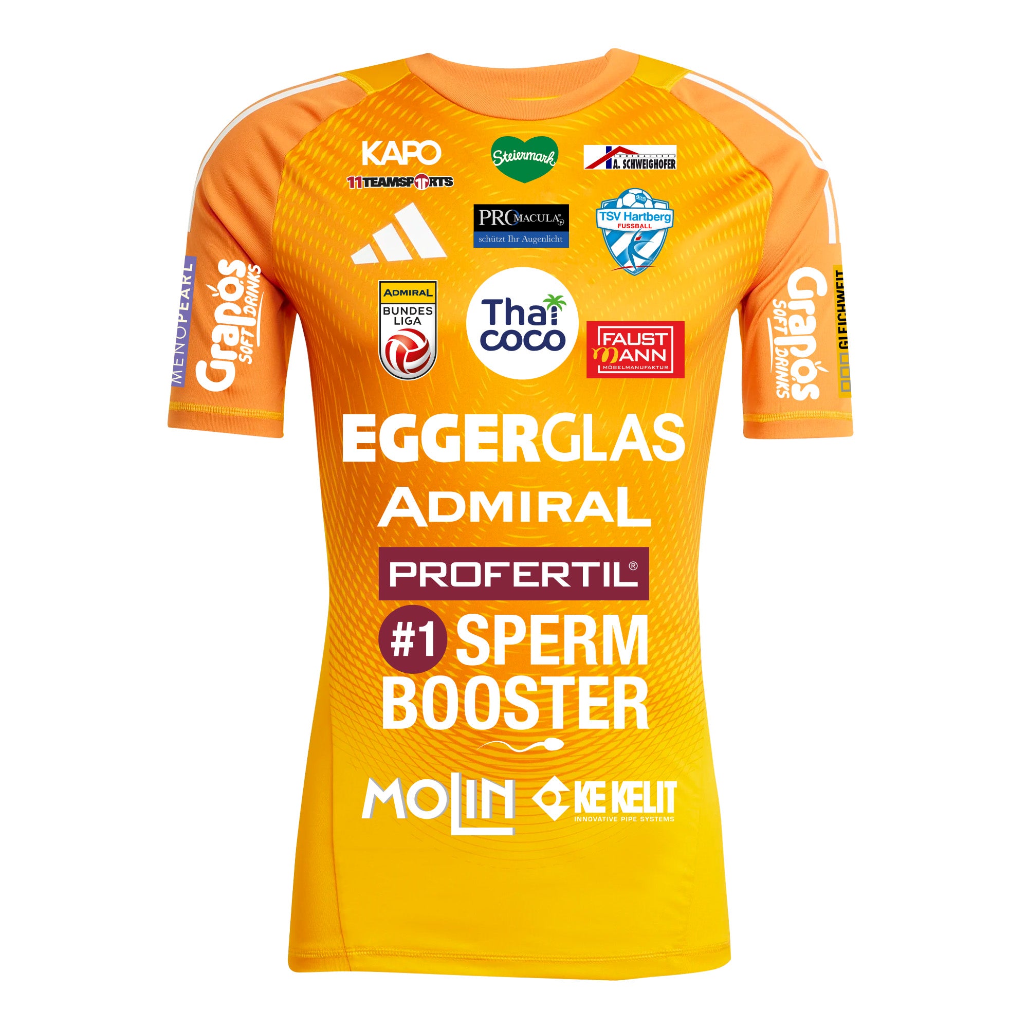 TSV Hartberg Tormann-Trikot 2025/26 (Sport)