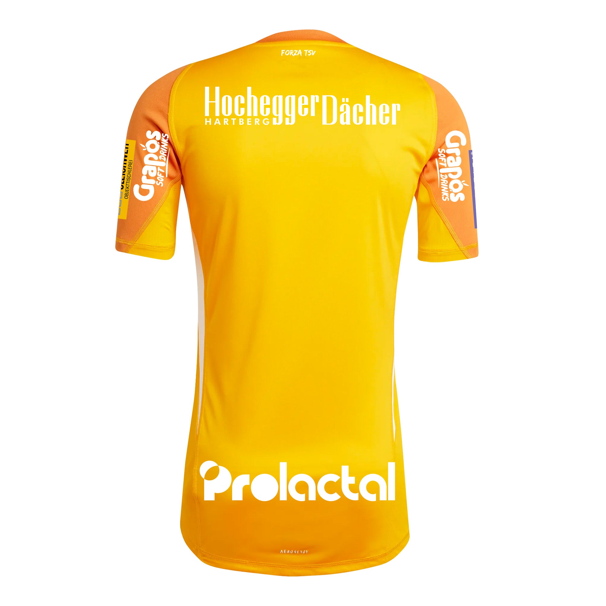 TSV Hartberg Tormann-Trikot 2025/26 (Sport)